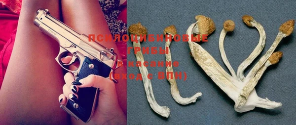 ECSTASY Кодинск